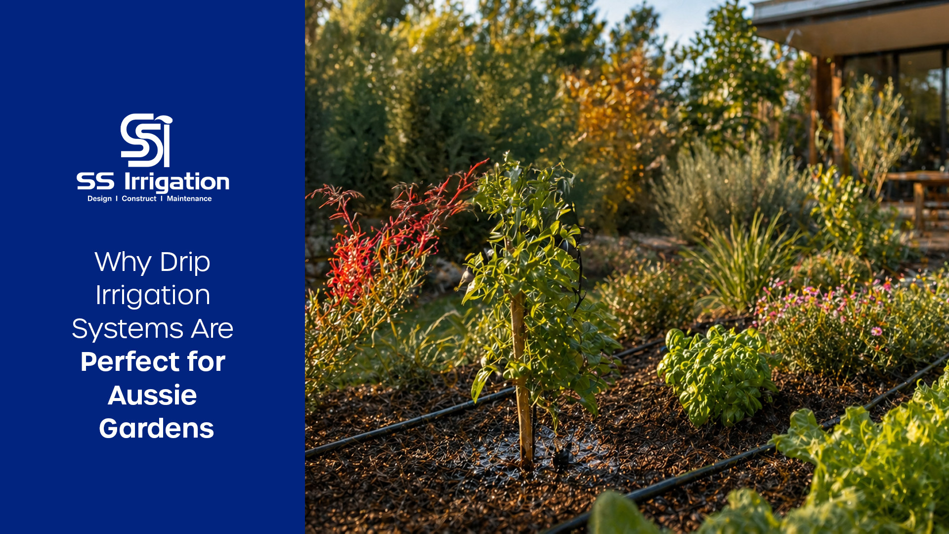 drip irrigation system